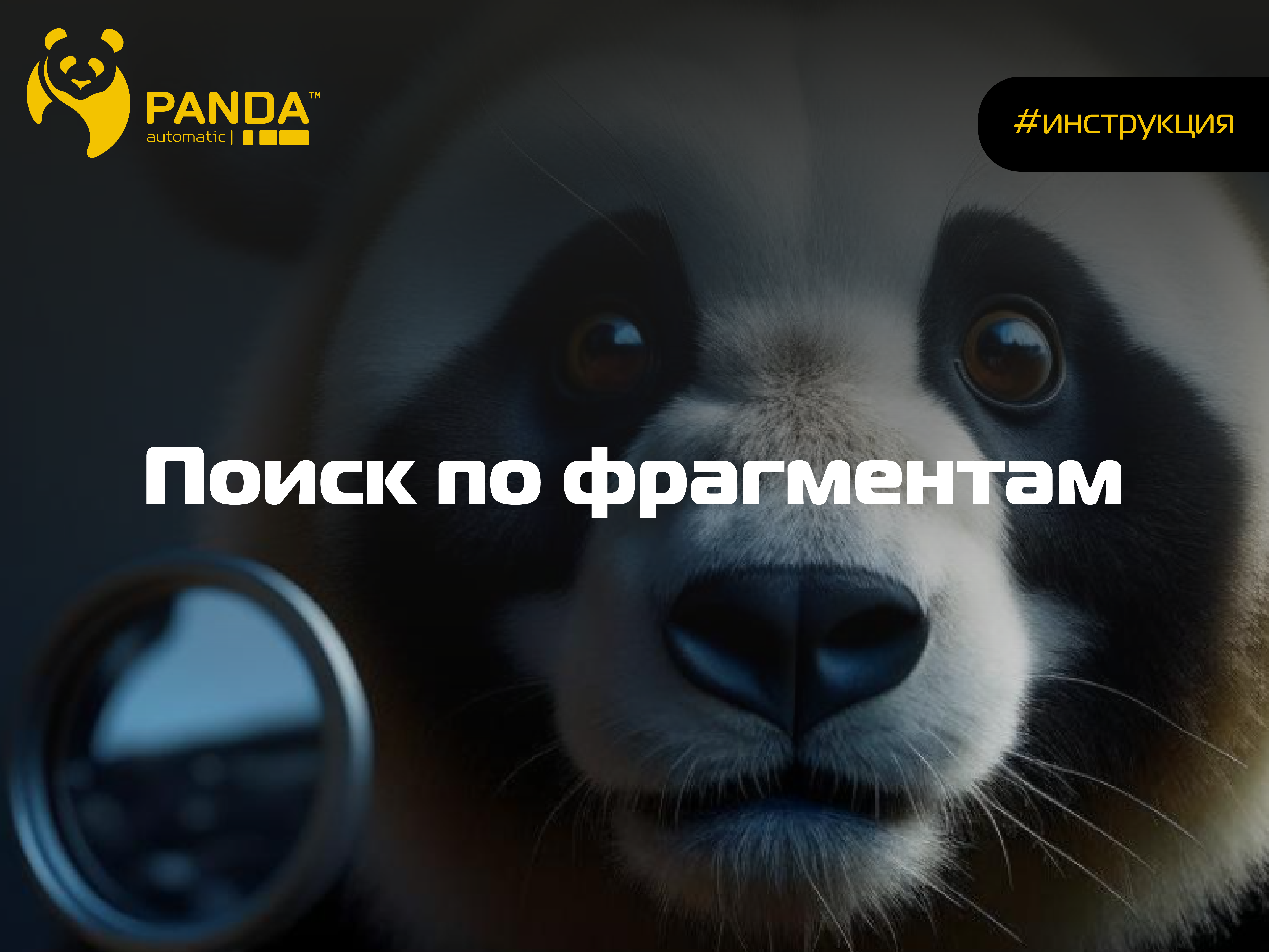 Поиск по фрагментам