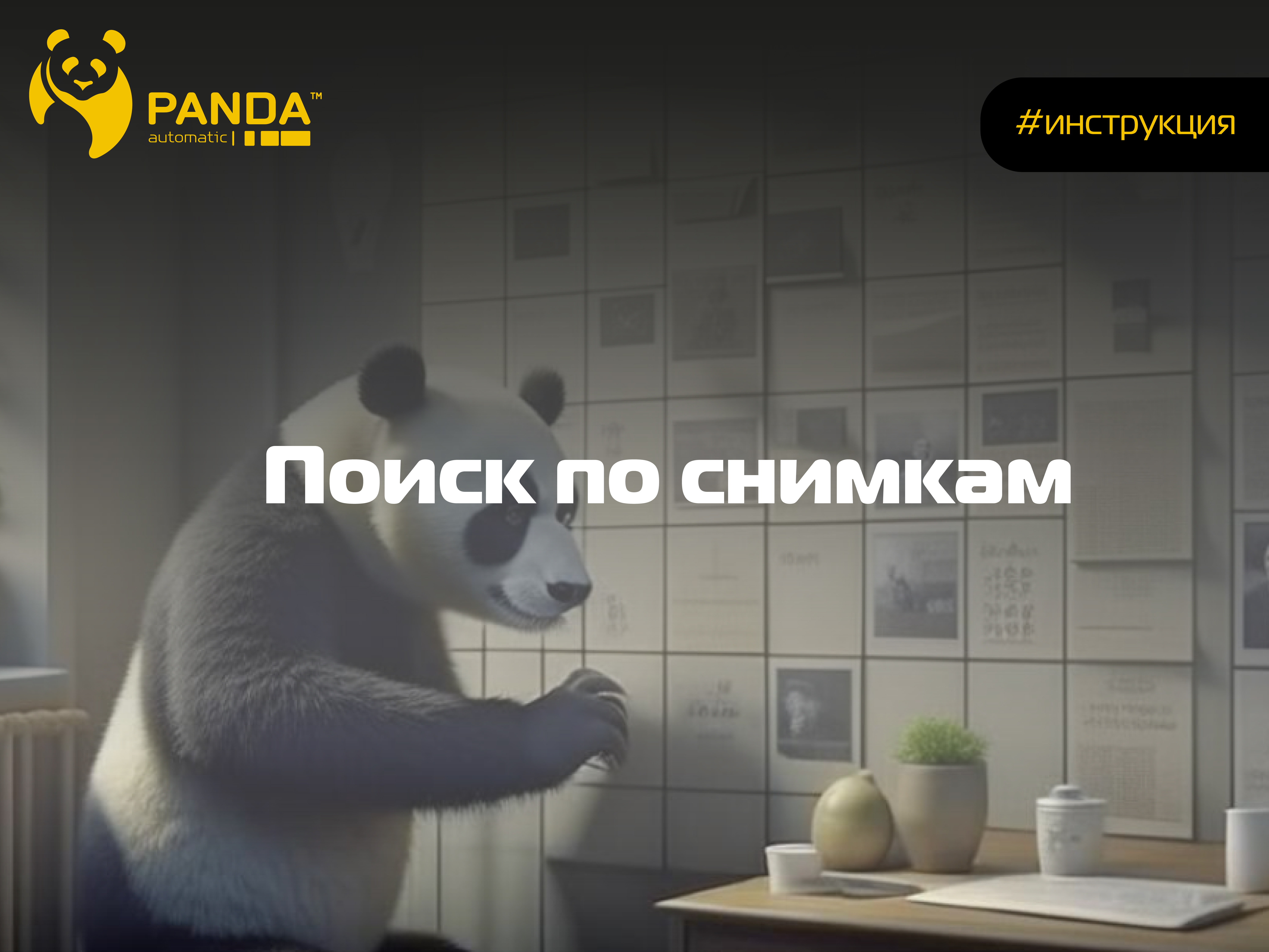 Поиск по снимкам