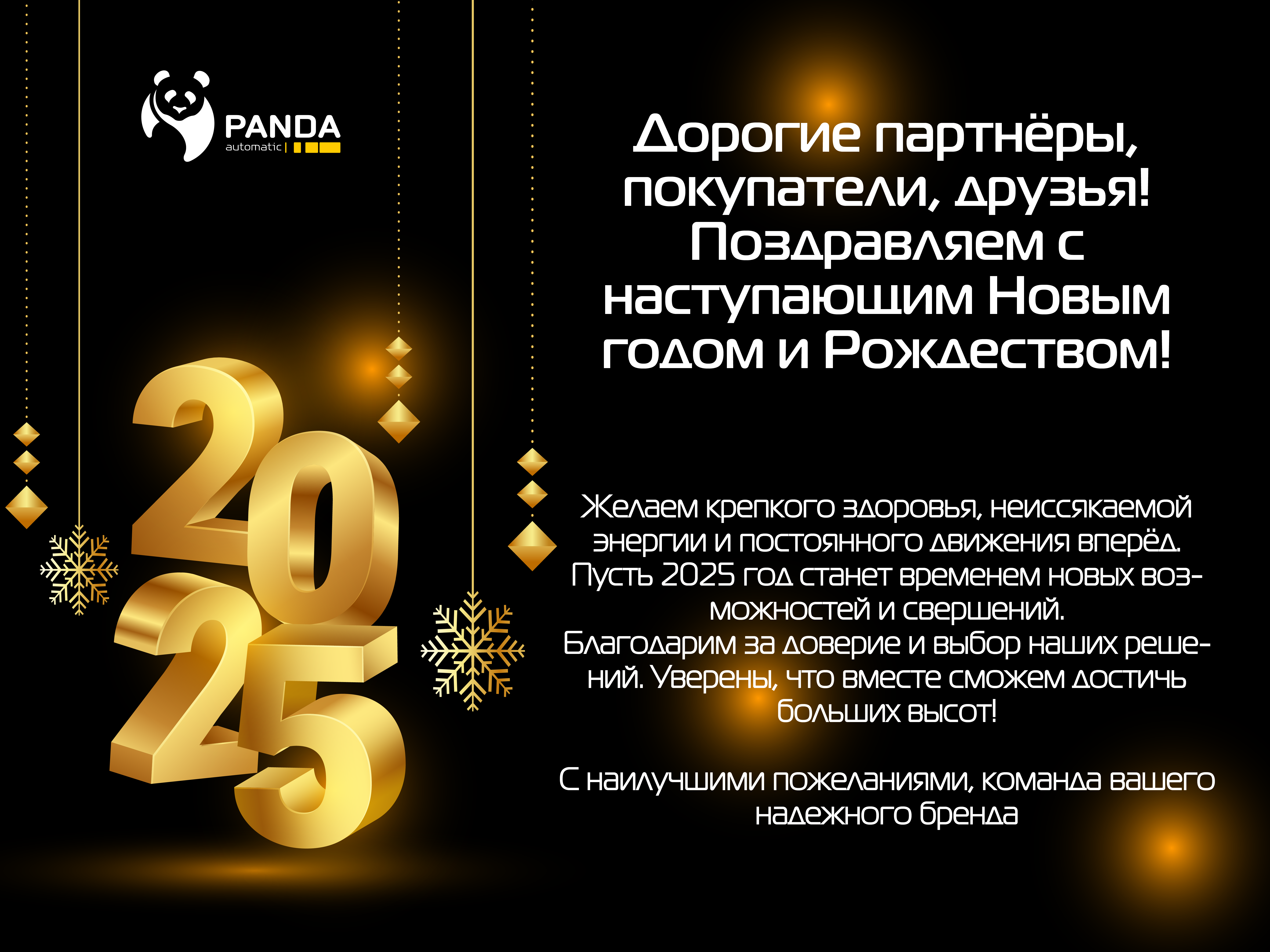 С Новым 2025 годом и Рождеством!