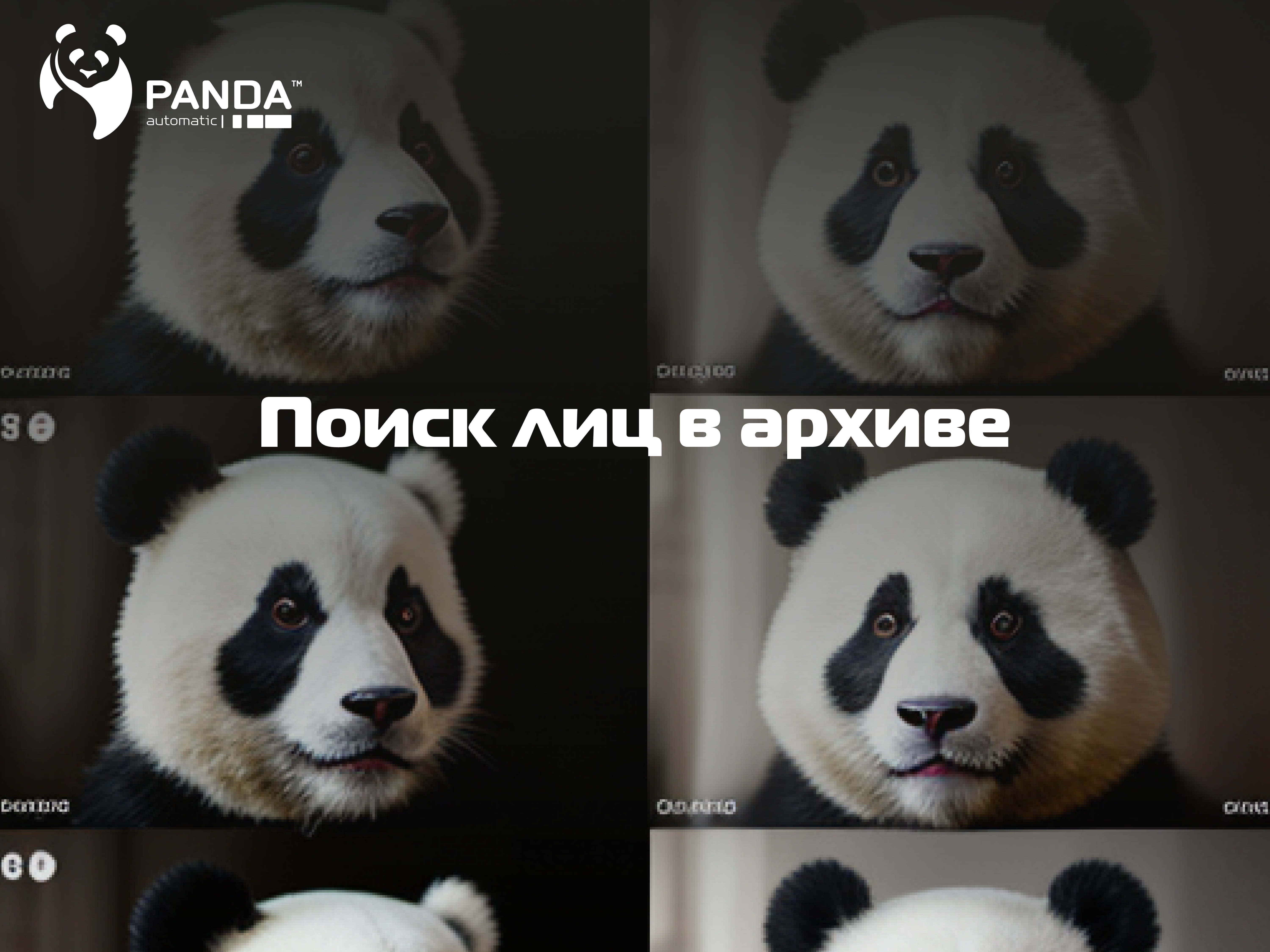Поиск лиц в архиве