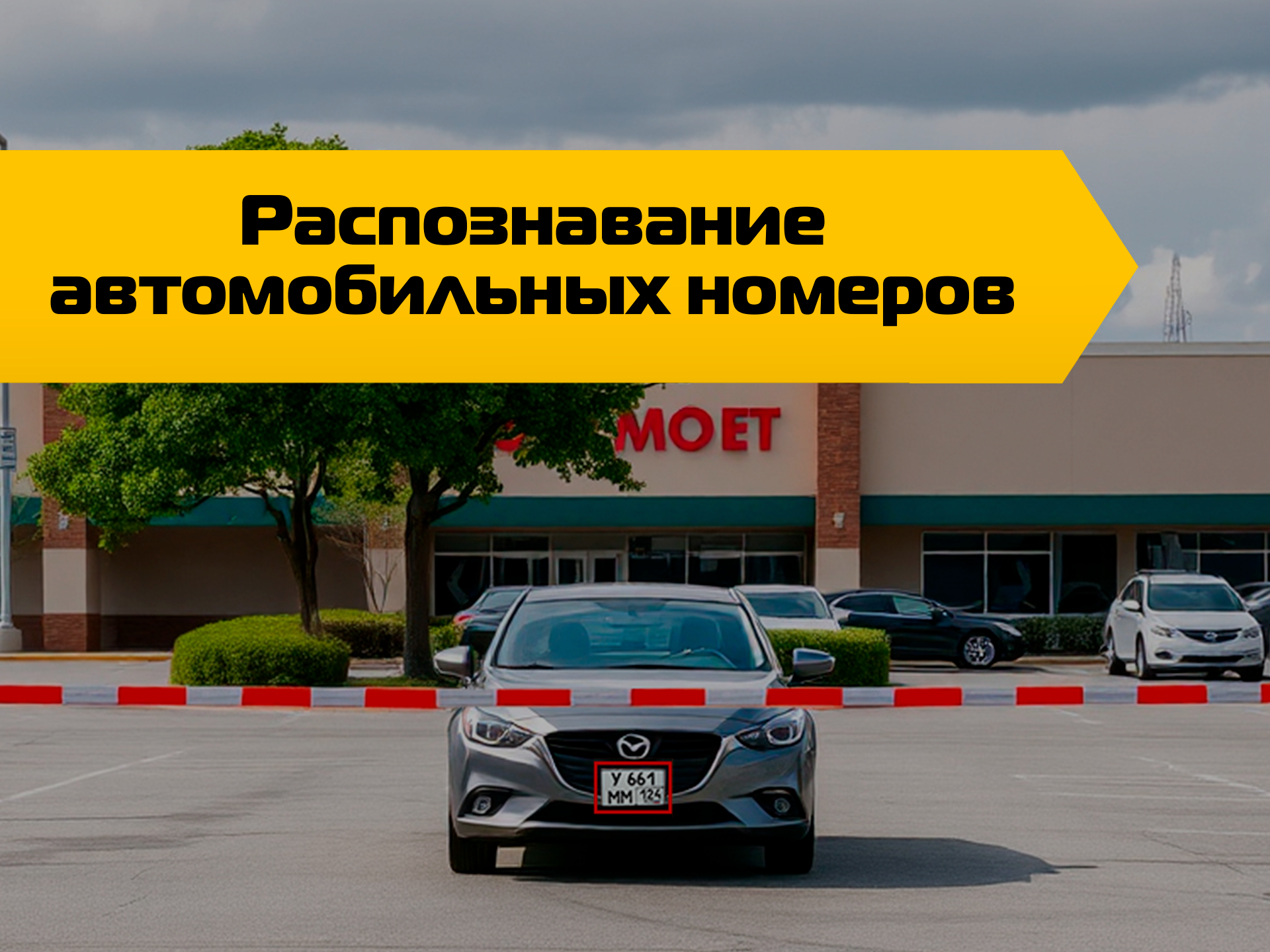 Функция LPR 