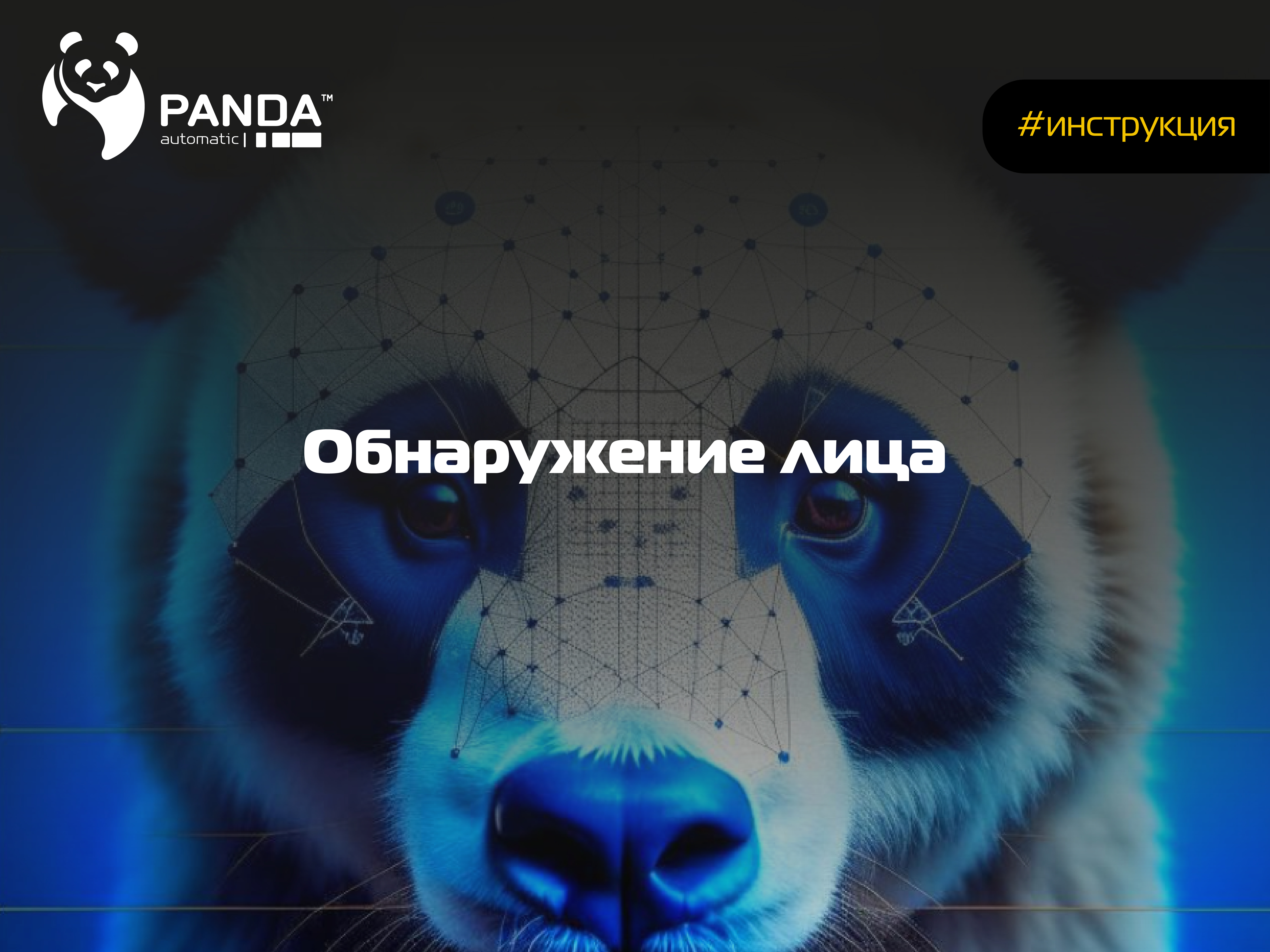 FD (Обнаружение лиц)