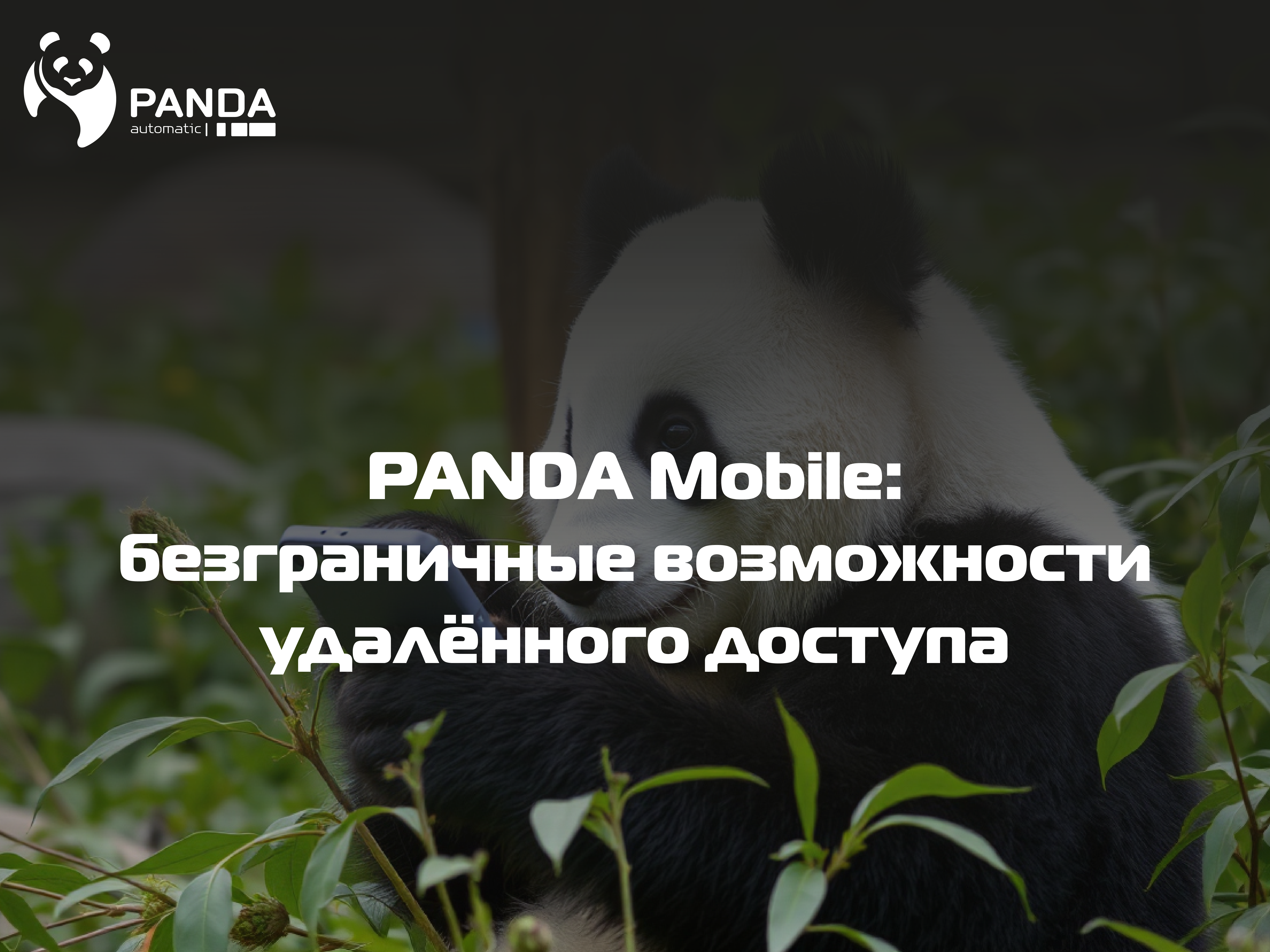 Приложение PANDA mobile